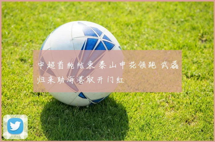 中超首轮结束 泰山申花领跑 武磊归来助海港取开门红